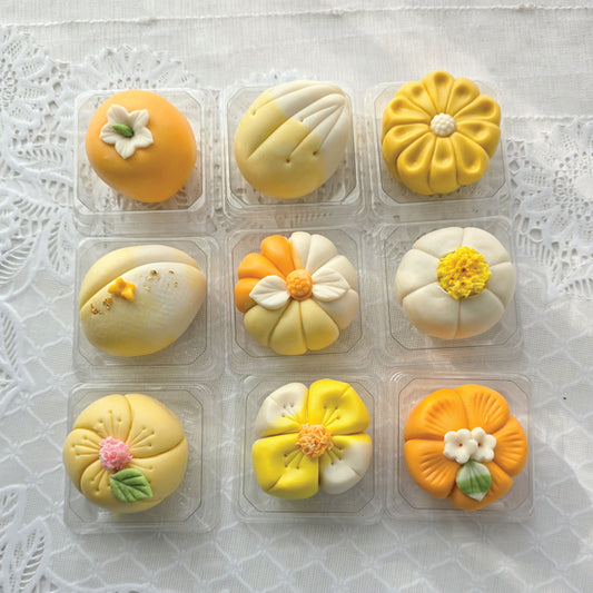 Hwagwaja B – 9PCS Set