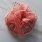 Stuffed Dried Persimmon Gift Jar - 7PCS